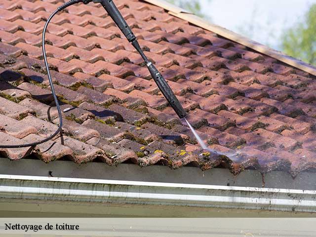 Nettoyage de toiture 33 Gironde tél: 05.33.06.18.84