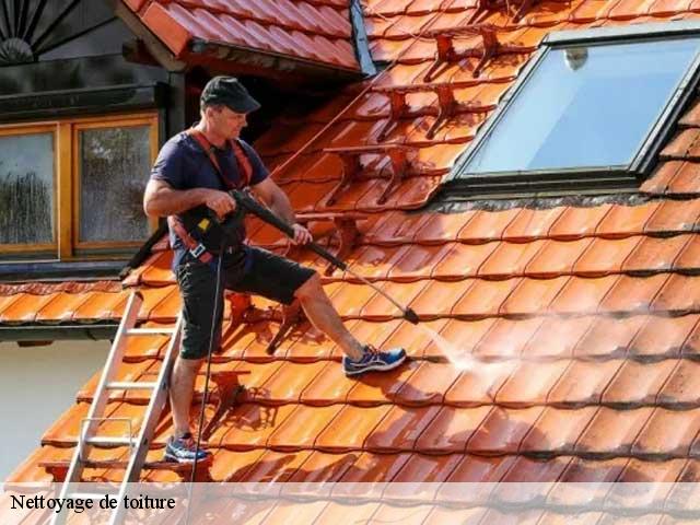 Nettoyage de toiture Gironde 