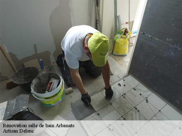 Rénovation salle de bain  arbanats-33640 Artisan Delsuc