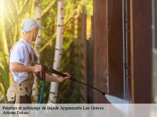 Peinture et nettoyage de façade  ayguemorte-les-graves-33640 Artisan Delsuc