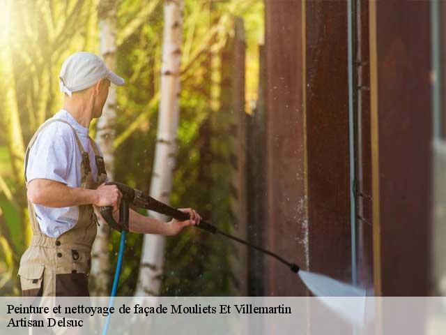Peinture et nettoyage de façade  mouliets-et-villemartin-33350 Artisan Delsuc
