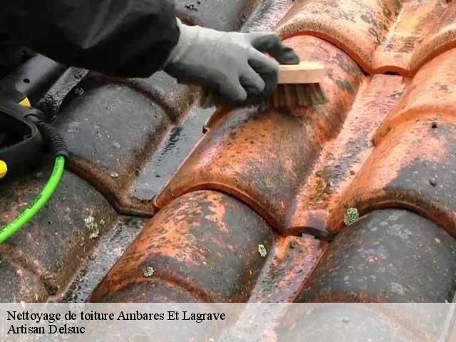 Nettoyage de toiture  ambares-et-lagrave-33440 Artisan Delsuc