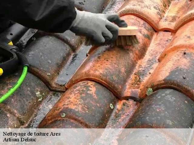 Nettoyage de toiture  ares-33740 Artisan Delsuc