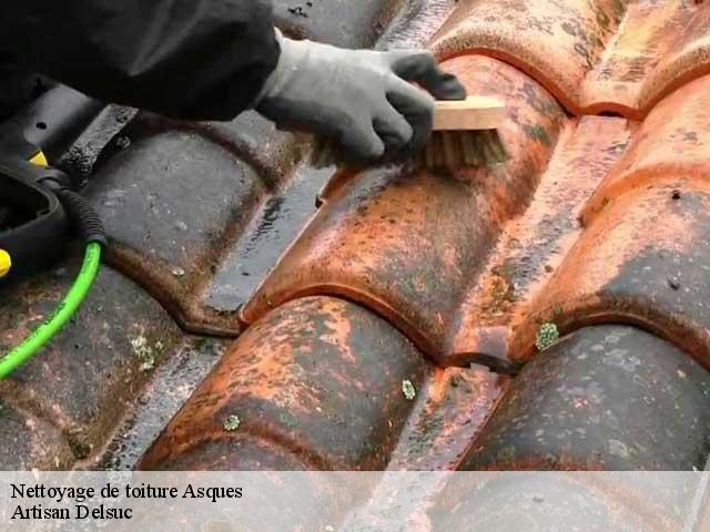 Nettoyage de toiture  asques-33240 Artisan Delsuc