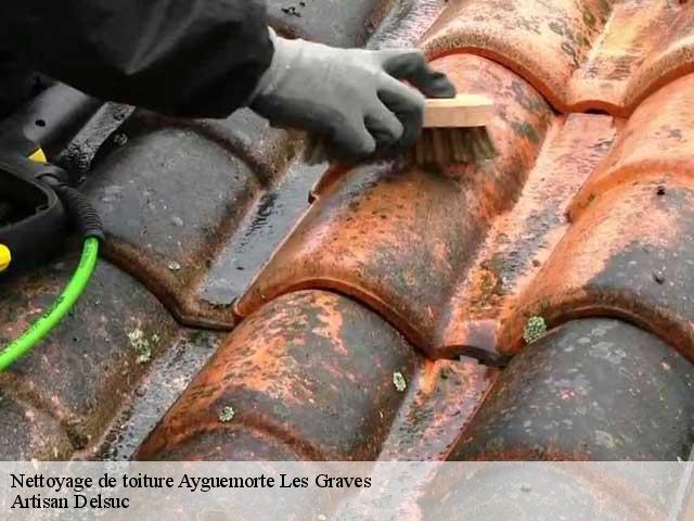Nettoyage de toiture  ayguemorte-les-graves-33640 Artisan Delsuc